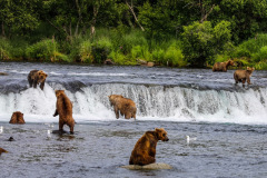 0DD2E8C1-A643-4145-92E0-985C9D6C158D