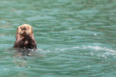 1C3EE3E2-77FF-4013-83F6-848D24453FD3