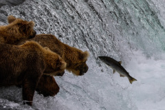 1D2B893F-690E-40B4-A848-FAB2E3E95835