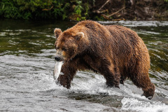 52F08C07-76CC-4965-9628-DE9B45699861