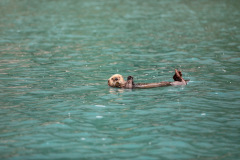 533F449A-2CAA-4CEE-98D4-B47CAC1DEF3B