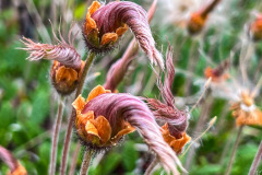 753CF17C-C3B2-4AE8-8F54-2351CE763E97