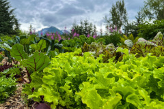 B0F28DCC-52D9-4792-A9F0-C78922647AF0