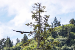 C066B1AC-BF2E-4721-9176-1F8CEB69D168