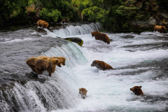 D35686EC-67D7-4555-9DC3-3F658BFC04DA