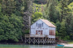 D9A0B006-64D4-48DE-8B1A-99482A73439E