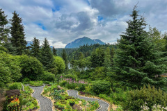 E6A56559-5A12-4F34-9264-3CBDE26C5F86