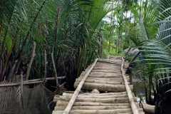 3CB42ADA-CAA9-4C0A-9864-559963ECDC5D