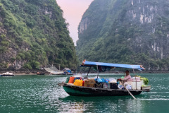 52C0FBC5-BA20-4899-BAA2-0AD2B1D41745