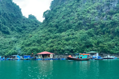 80D49548-4066-4F72-9E51-E71609B6287C