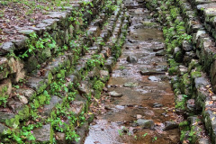 C4A36601-6CDC-4EC9-B676-F6C5DD9F8767