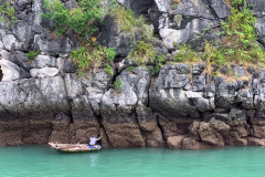 C7B872D6-48FE-4945-9470-C73097BFFCB5